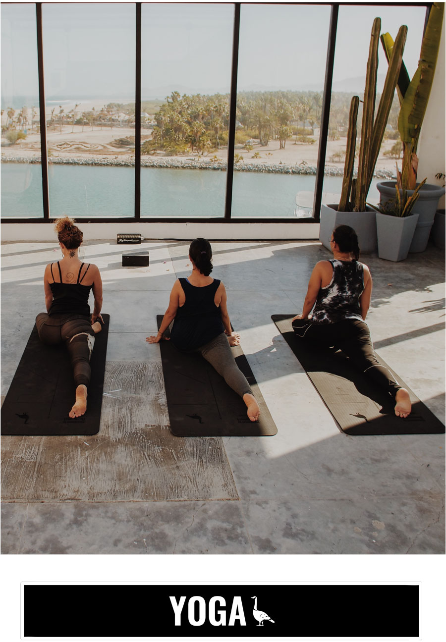 YOGA_1