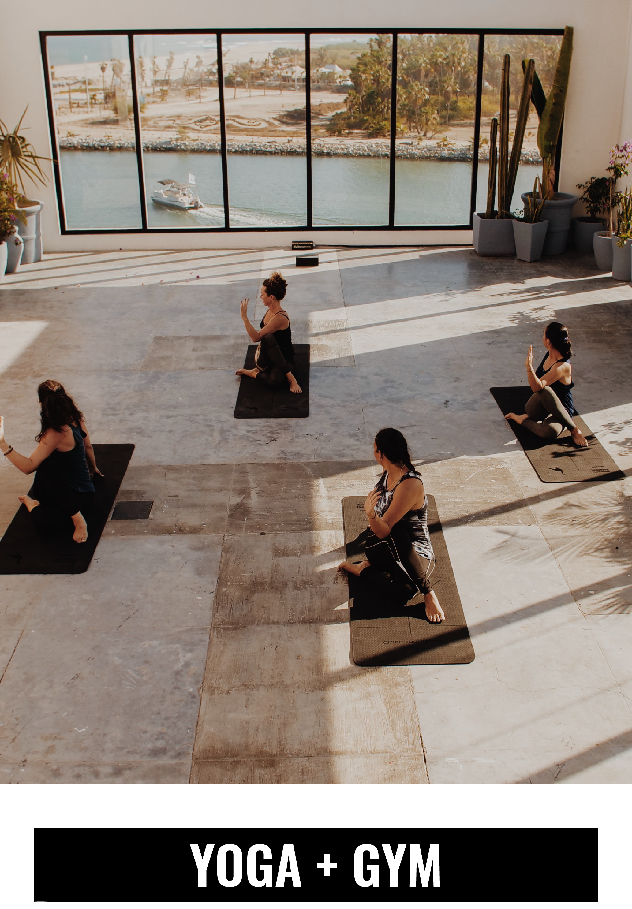 YOGA + GYM