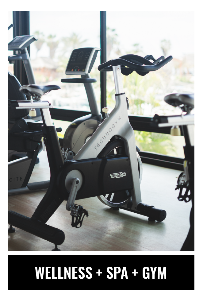 WELLNESS SPA GYM_Mesa de trabajo 1 copia